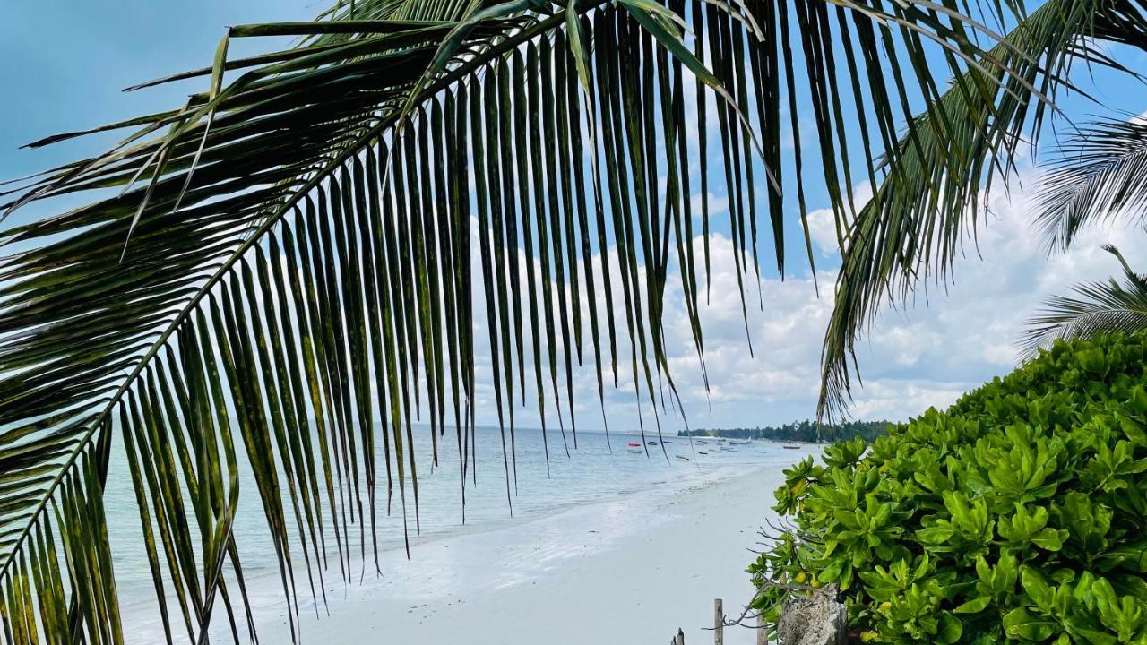 Palumboreef Beach Resort Uroa Kültér fotó