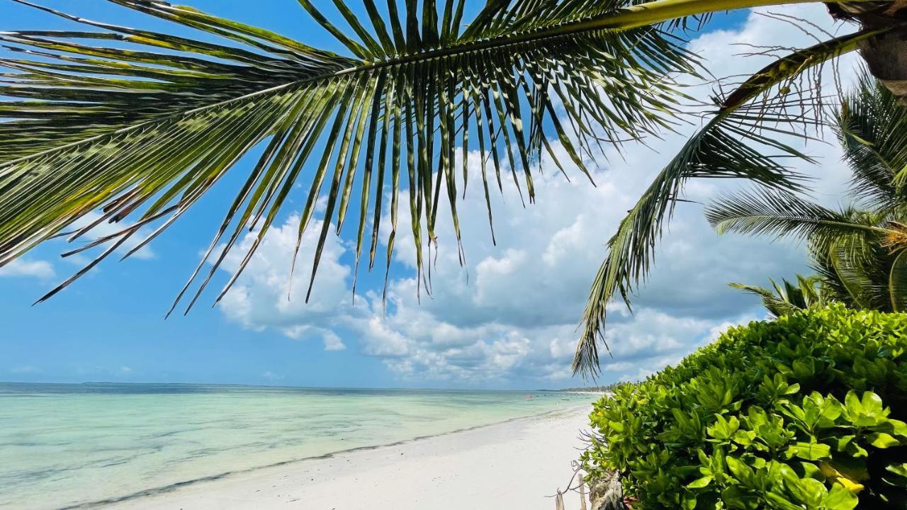 Palumboreef Beach Resort Uroa Kültér fotó