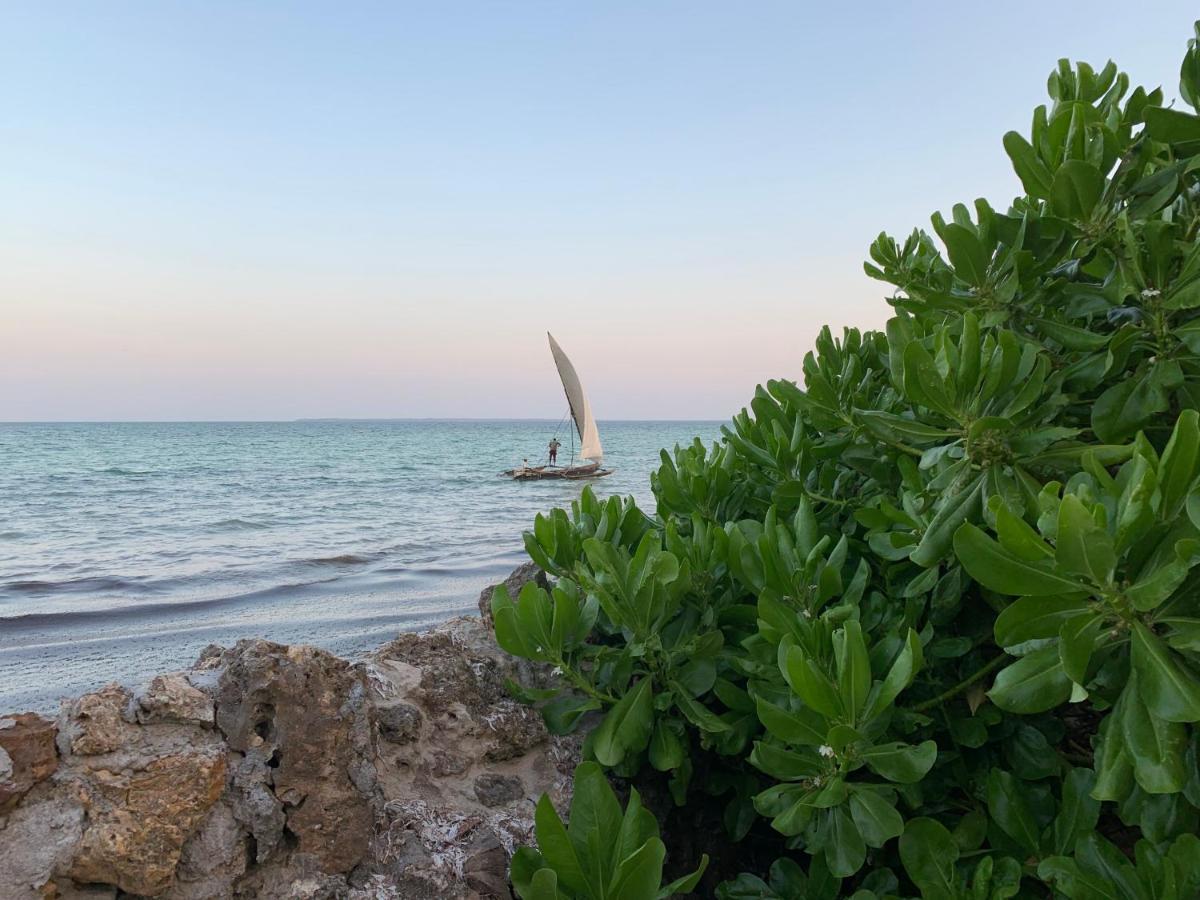 Palumboreef Beach Resort Uroa Kültér fotó